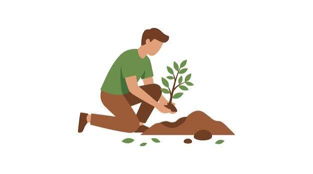 Real Wealth Joins Treefo